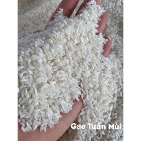 Gạo Tài nguyên chợ Đào