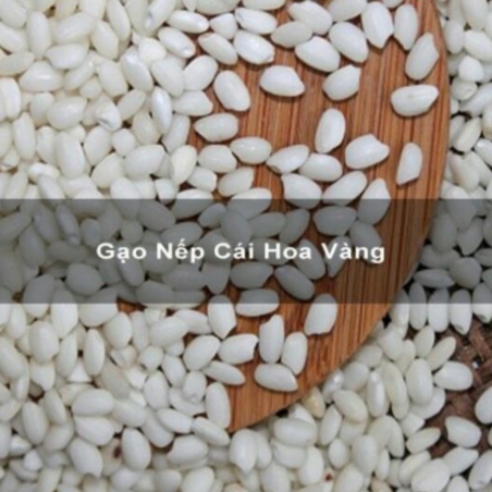 Gạo Nếp Cái Hoa Vàng